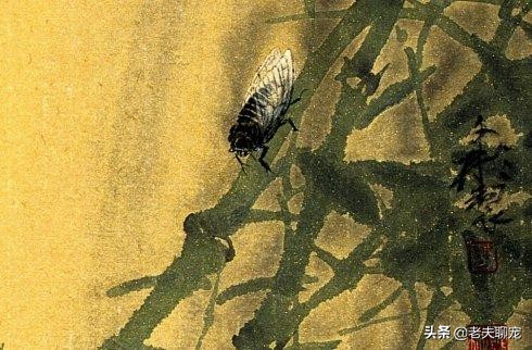 “蝉”生华丽的蜕变，“四年黑暗的苦工，一个月日光中的享乐”