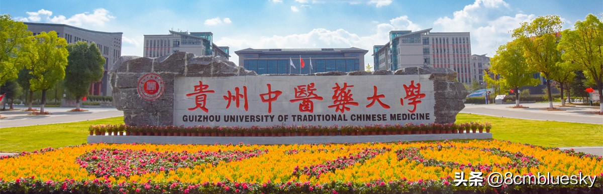 贵阳中医药大学（未来大有可为）