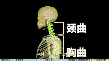 「拆床垫」篇92：床垫睡了十年腰酸背痛，问题竟然出在这里……