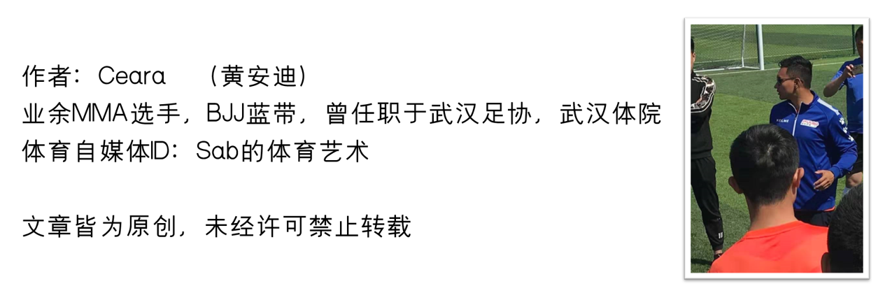 意大利捷克06世界杯(06世界杯意大利冠军队成员现状：3员大将的中国情缘)