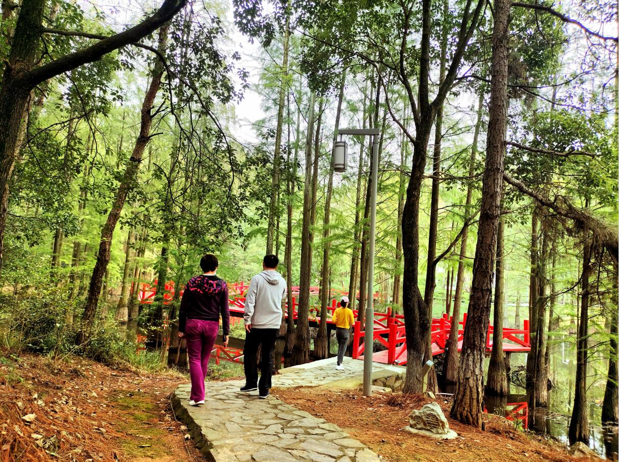 关于武汉蔡甸•九真山第三届登山节活动临时暂停的一封信