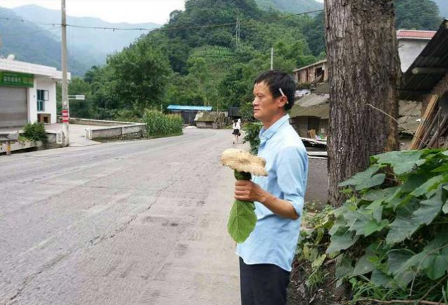 51岁四川老农撞脸马云，走红后狮子大开口要价，终黯然回乡捡蘑菇