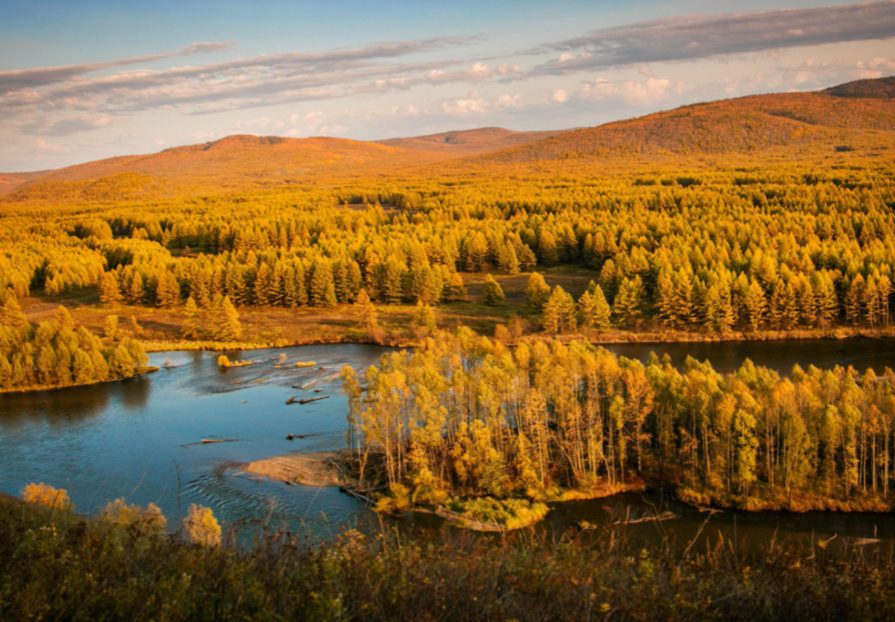 东北985和211大学名单（2021）
