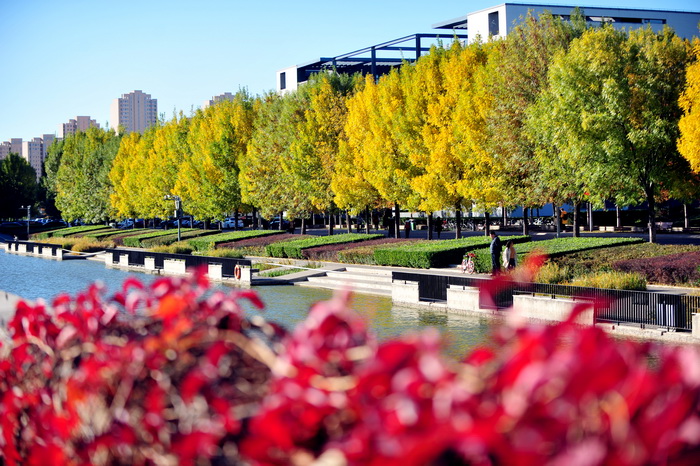 天津财经大学2018理科录取分数