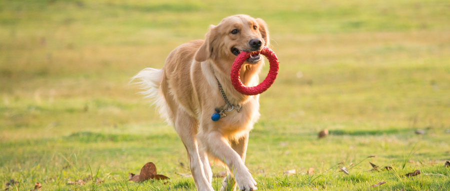 2021年最受欢迎的大学专业出炉，冷门专业也吃香