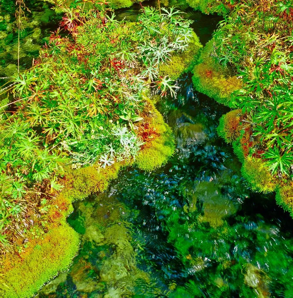 均温20℃！周边7个耍水宝地，冲浪滑水观瀑，最快1h清凉度夏