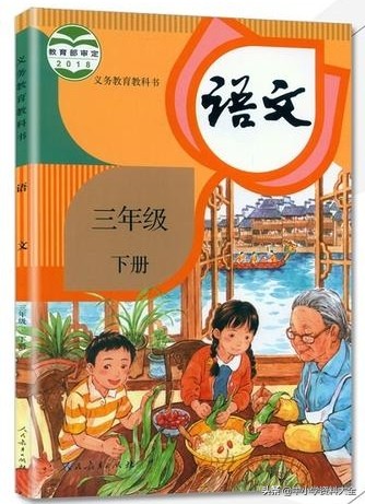 呆萌国宝大熊猫，竹林漫步最可爱