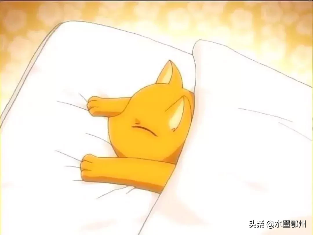 刷完100部“猫片”,发现你们对喵星人的偏见竟如此之大