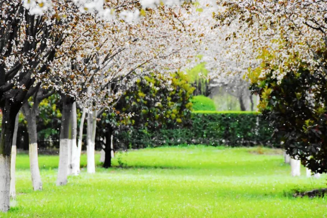 为什么选择西安外国语大学？这8个理由一定吸引你