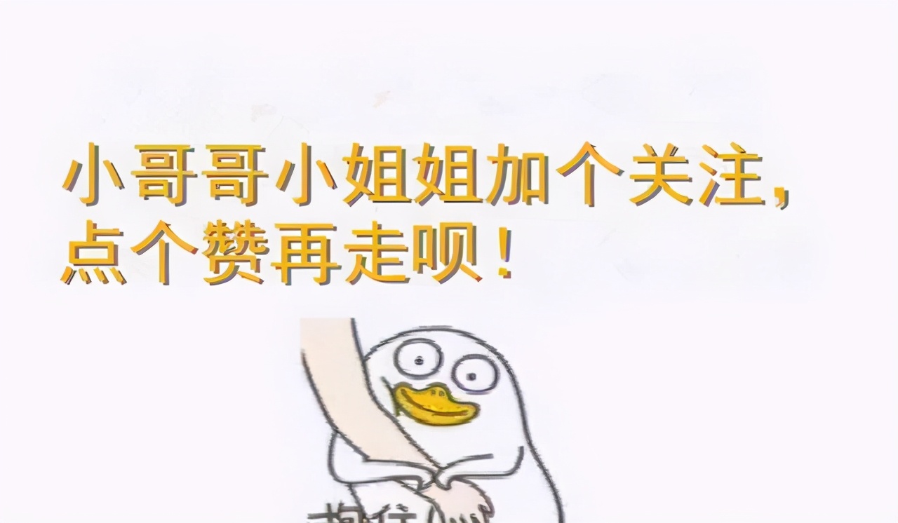 贫民窟养猫省钱计划｜6款平价国产猫粮推荐