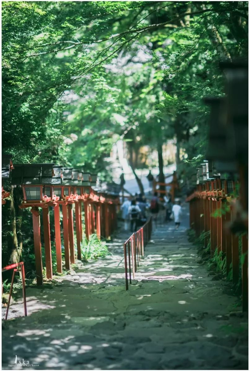 日本这位小哥每拍一张照片，就能引来无数网友围观！看...