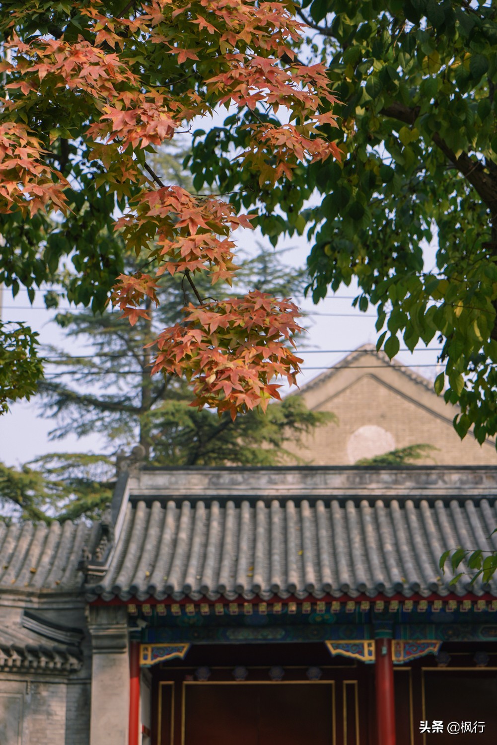 位于故宫旁边的民国建筑，藏着北京最美法式学校旧址，刚刚开放