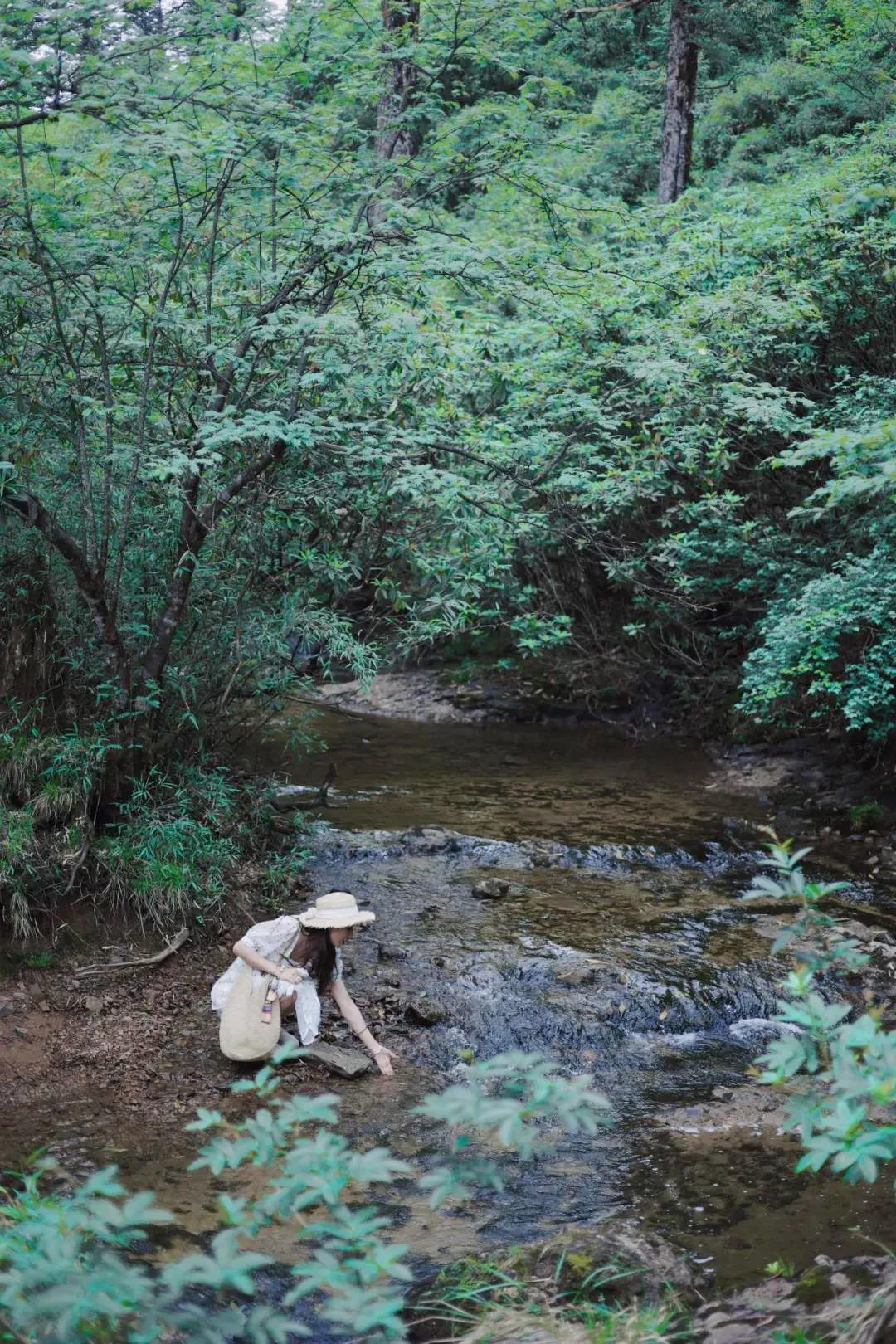 均温20℃！周边7个耍水宝地，冲浪滑水观瀑，最快1h清凉度夏