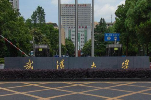 湖北一本大学（2019）