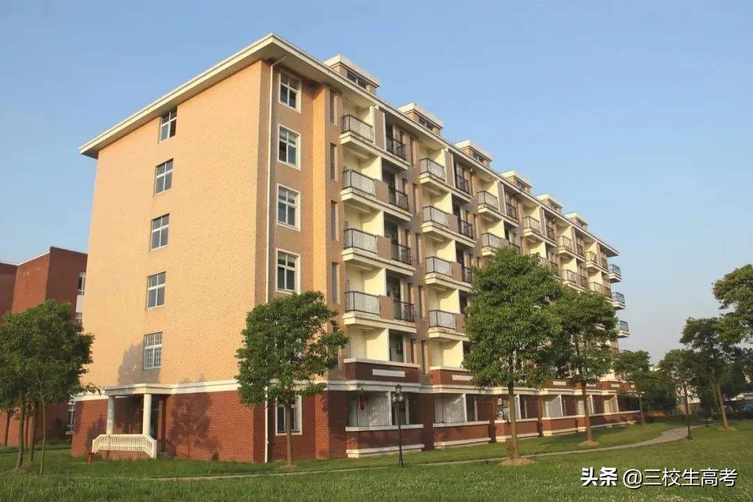 报考上海立达学院专升本，竟然还有免费游学大礼包