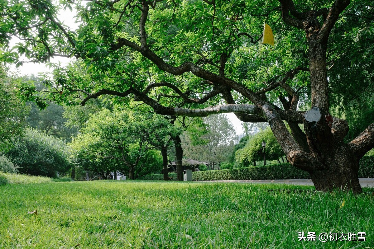 迎接农历五月，走进盛夏与仲夏，七首古诗感受盛夏里的火热与清凉