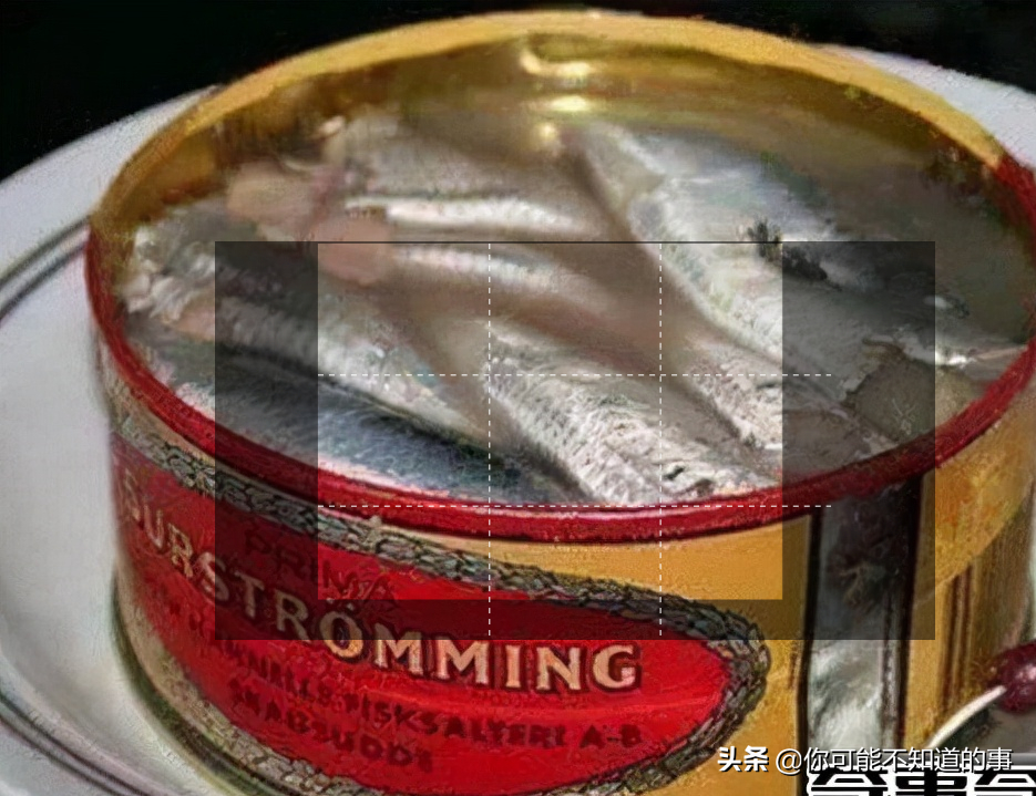 全球十大最臭食物排行榜：鲱鱼罐头领衔，挑战人类嗅觉极限