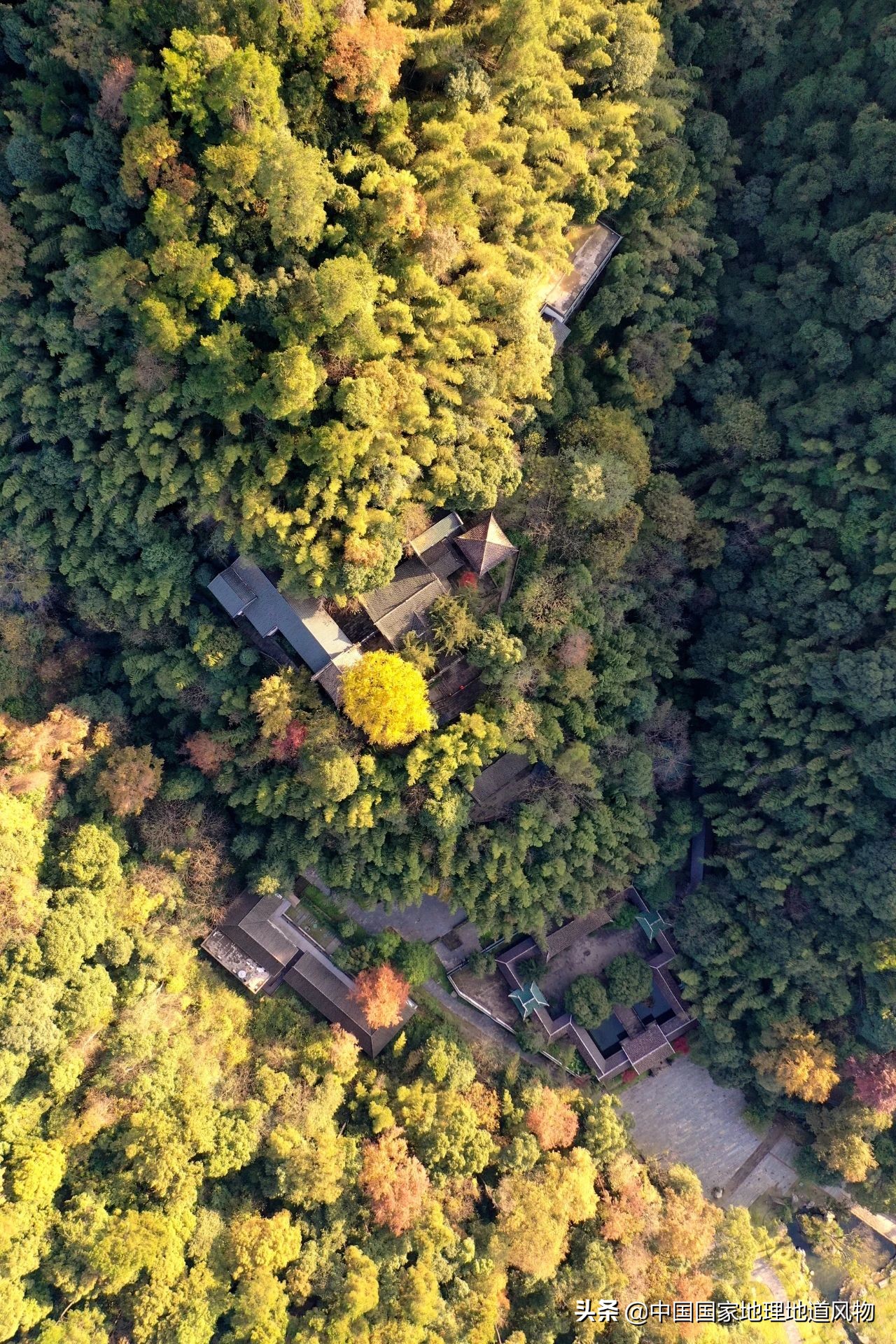 桃花源在哪里（揭秘陶渊明笔下的桃花源住处）