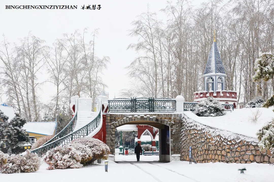 冰城暴雪冻雨之时，却让哈尔滨成为冬的水墨画卷