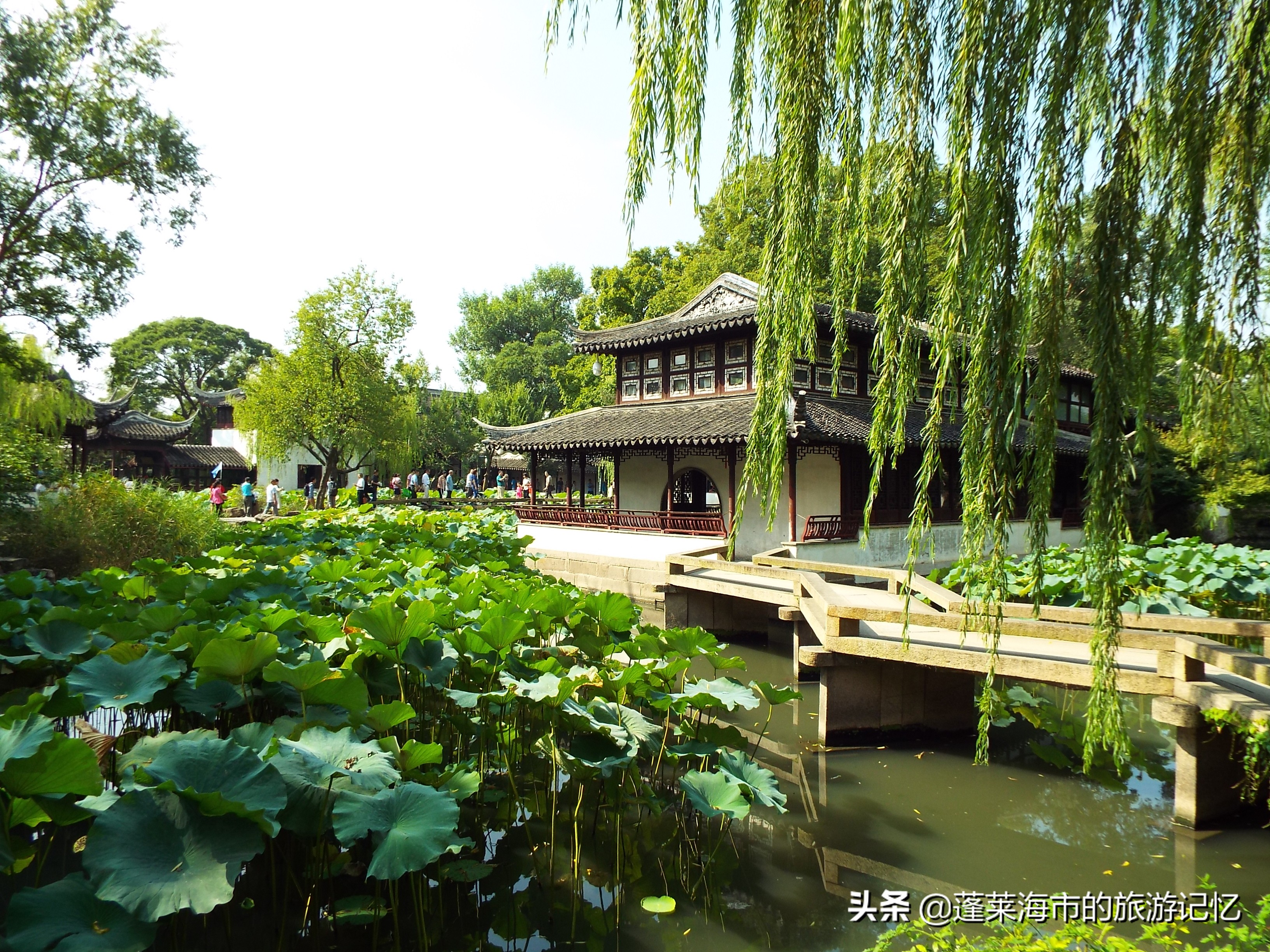 苏州园林有哪些(图文赏析苏州10座最美园林)