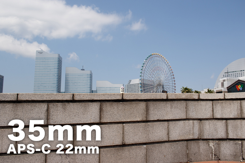 拍照想虚化背景？教新手如何控制景深