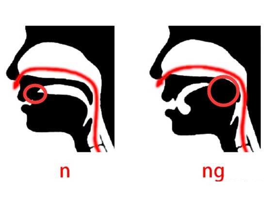 怎么区分前鼻音和后鼻音前后鼻音不分怎么办