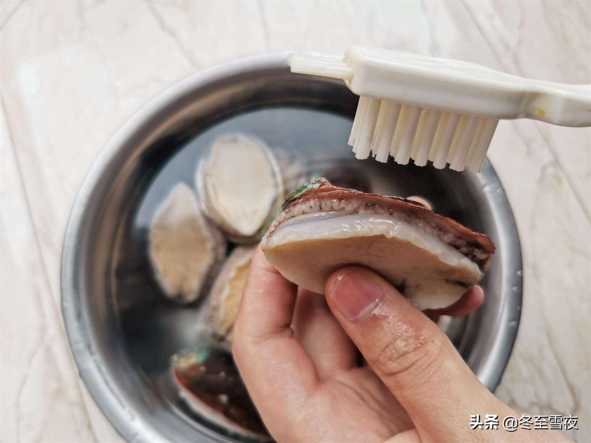 鮑魚的做法及清洗,鮑魚的做法及清洗視頻