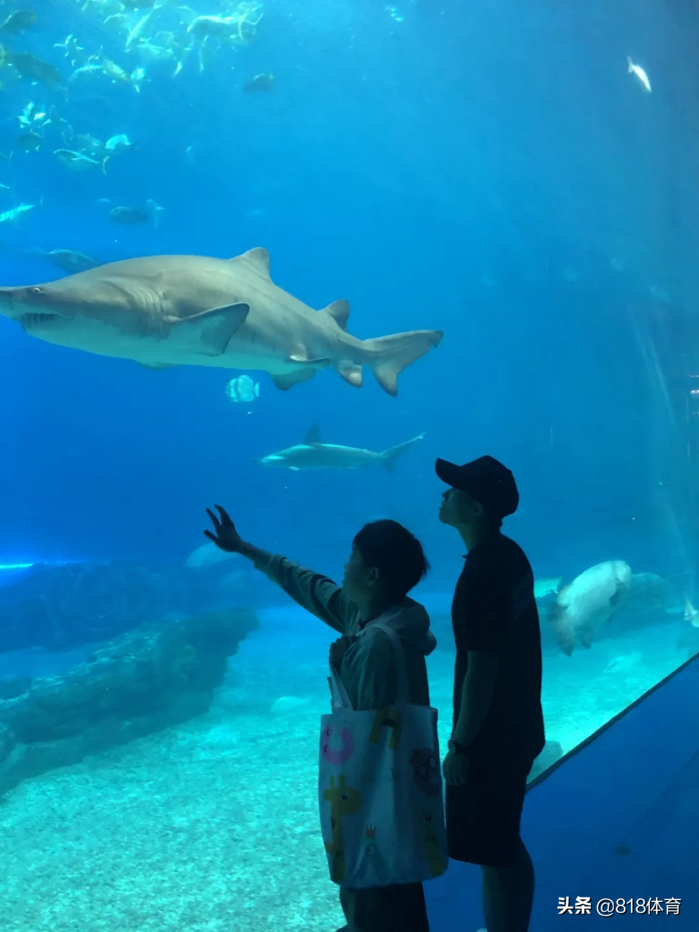 皮!全红婵长隆玩激流勇进,谢思埸掀掉她雨衣帽子,红姐淋成落汤鸡