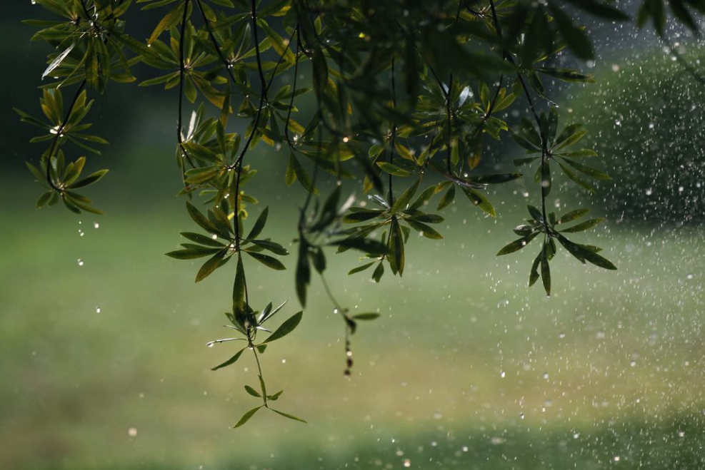 「诗词鉴赏」​大暑将至 大雨时行 一场山雨 一份诗意 一路前行