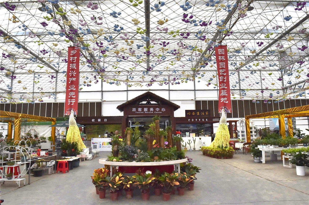 桂林:琳琅满目五彩缤纷的花卉超市