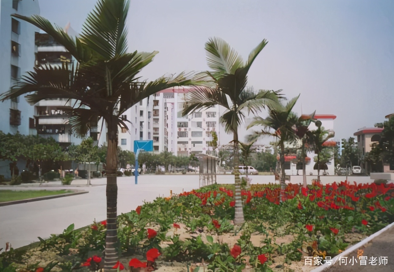 广州市比较好的公办技校有哪些？