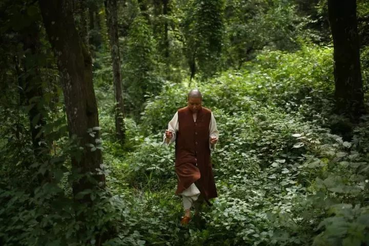 最美的尼姑庵，不烧香只种花，看一眼就想出家