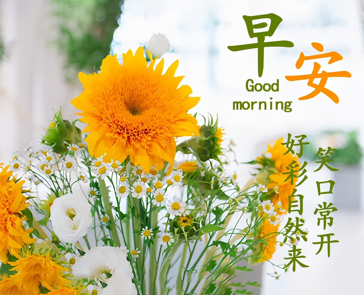 适合发朋友圈的最新早安语录图片