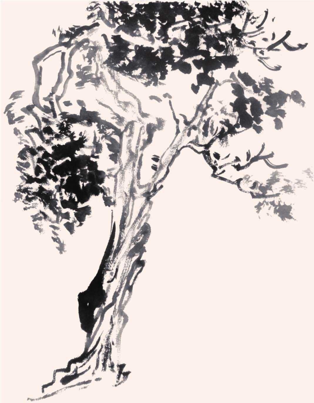 国画知识：分步骤图解教你画树，简单易学，收藏起来临摹学习