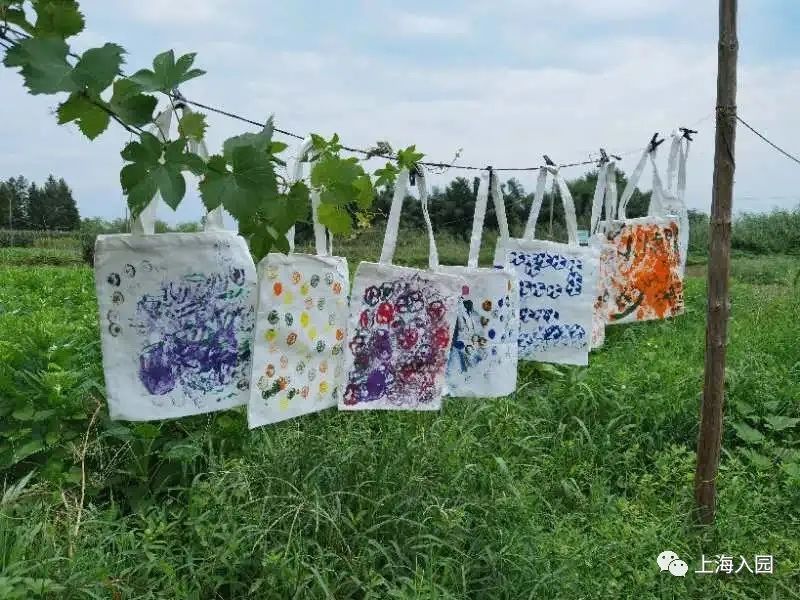 上海这所“迷你”蒙氏托育园，老师都是海归硕士！还特色艺术课程