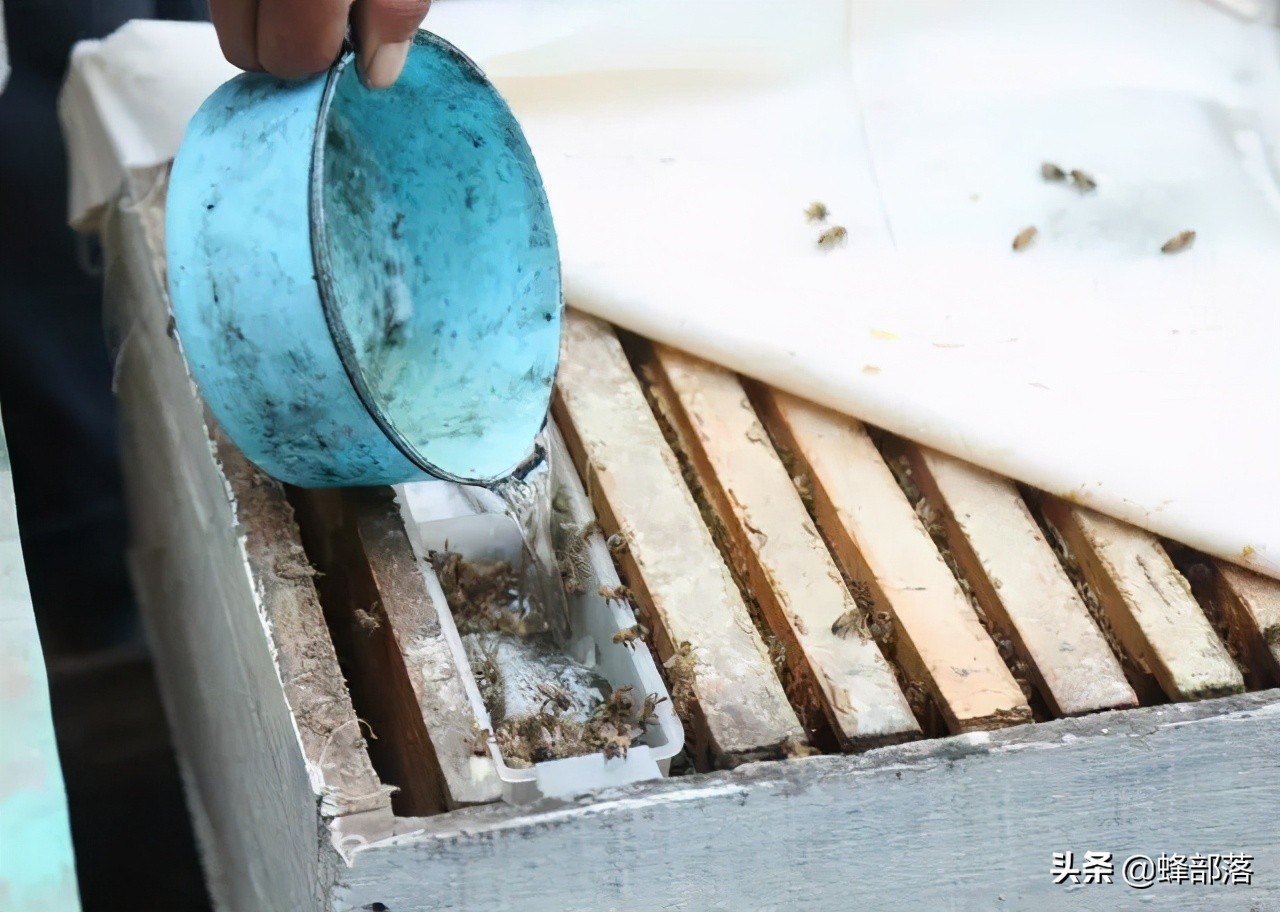 继蜂蜜出口受阻后，蜂王浆出口量也爆减，发生了啥？情况不容乐观