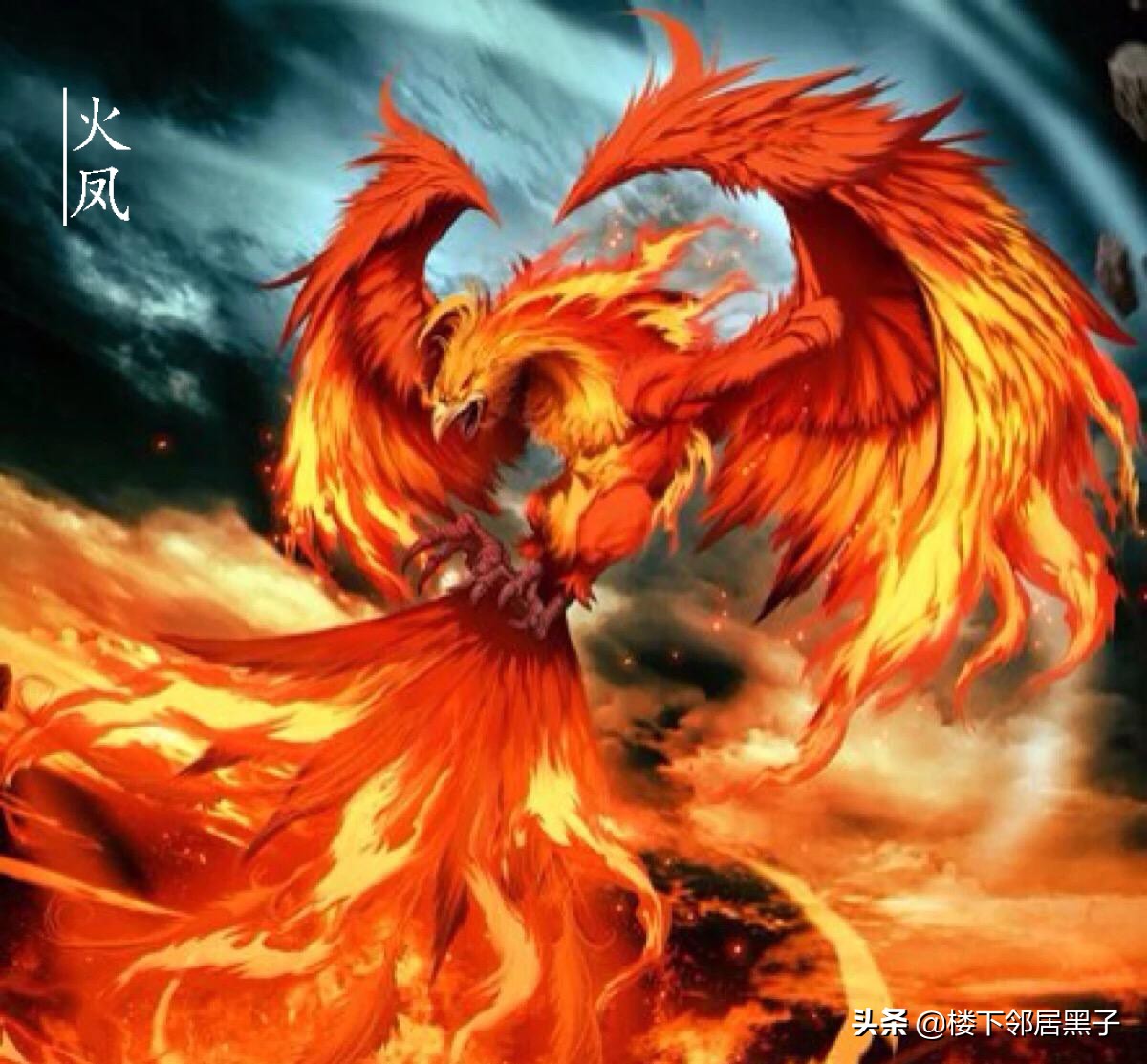 七彩火凤凰图片大全(山海经) - 赤虎壹号