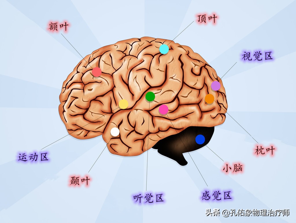 为何如此多的人发生脑出血？要如何正确应对？一文详细告知您