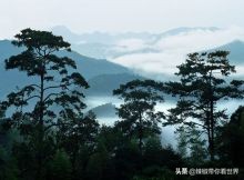大好河山：闽南（厦、漳、泉）三城 各领风骚