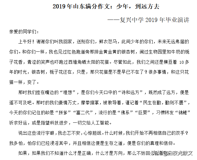 2019年山东高考语文满分作文：少年，到远方去