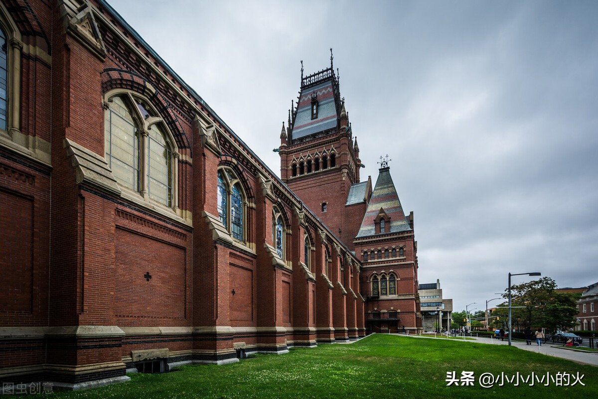 明明读不完，为什么哈佛大学还要开设那么多课程？