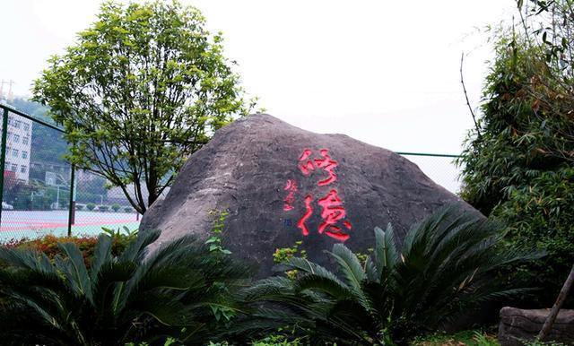 四川达州这5所高中，优秀考生争相报考，你知道原因吗？