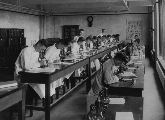 91年前的今天，中国下令废除中医，日本人却这样忠告