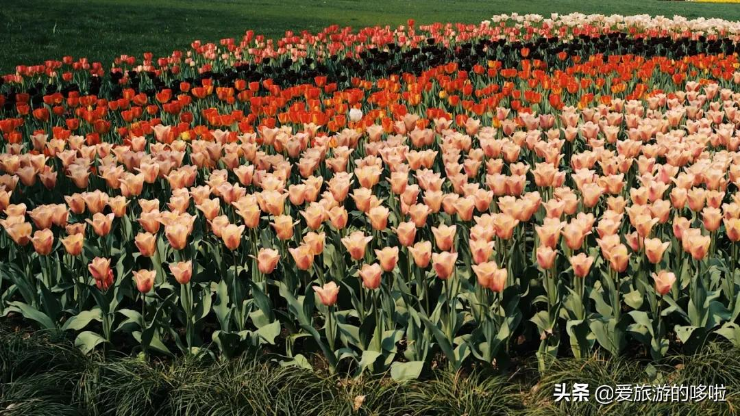 6块钱,包船游西湖