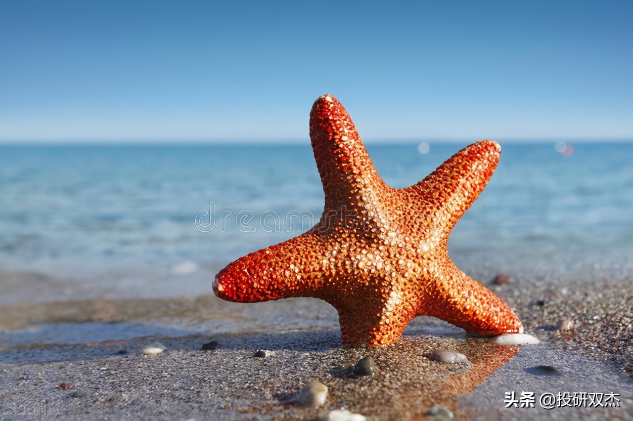 洗脑、发疯、猝死：恐怖“灵修课”背后的精神操纵术