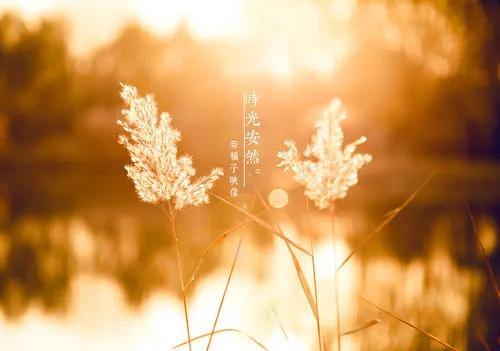 三体体现了什么宇宙人生观？三体经典语录解析