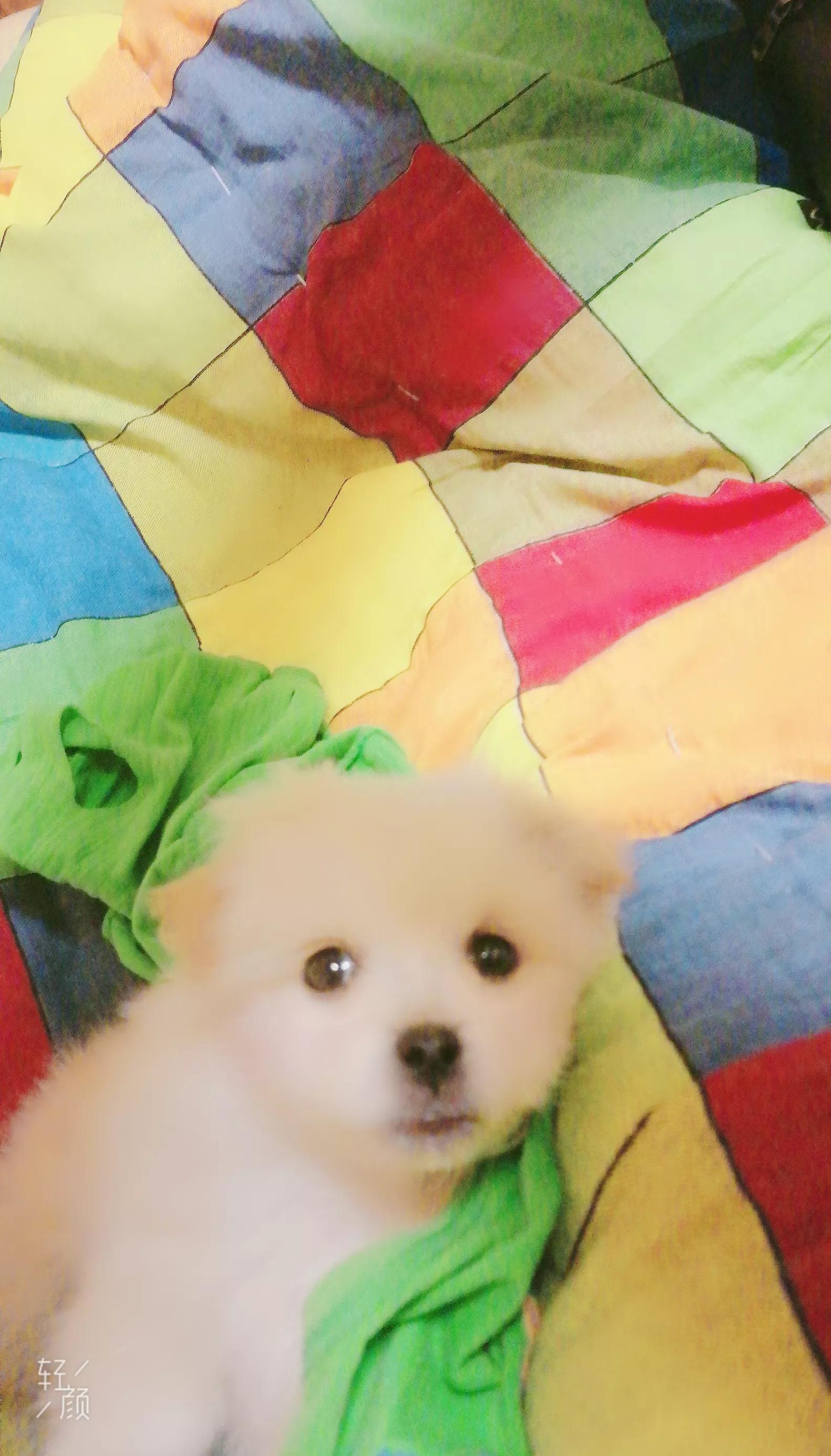 宁愿孤独终老，也不愿去有将就的二婚