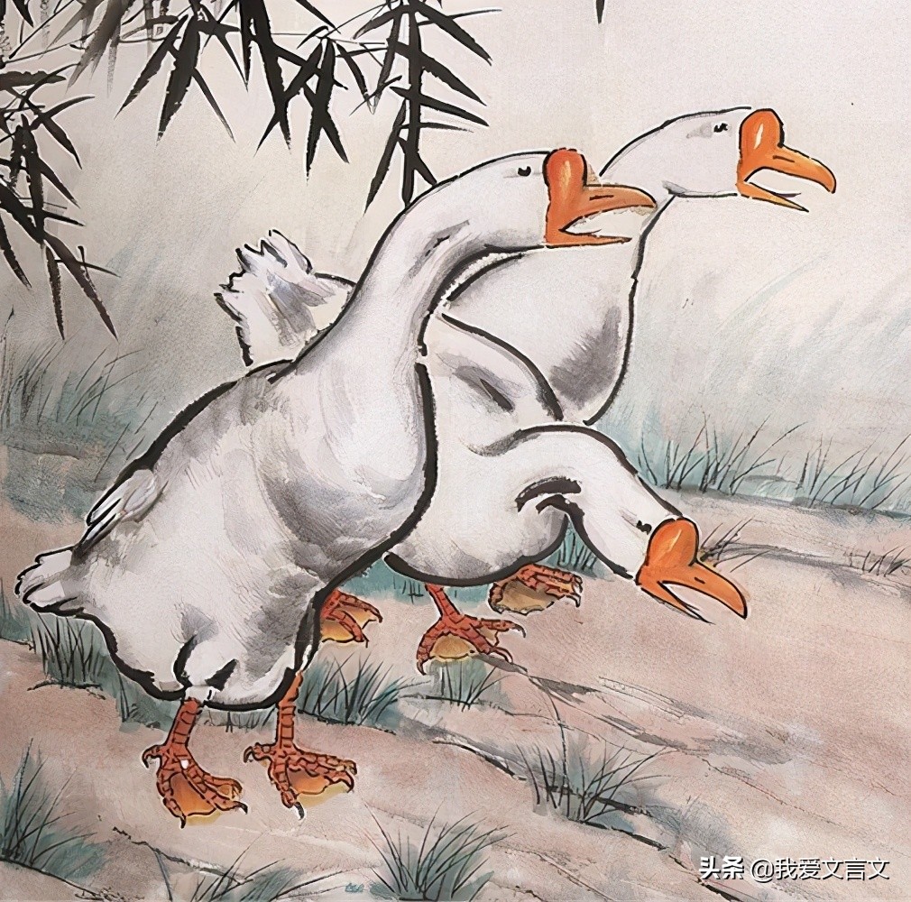 经典文言文赏析｜钱若赓断鹅