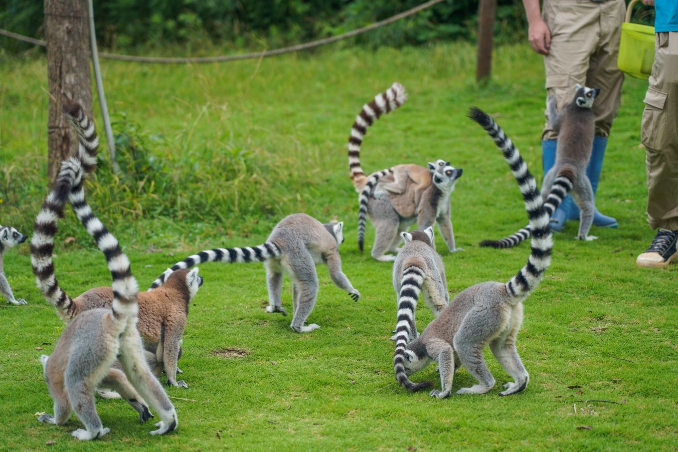 宁波亲子游,打卡当地最美的动物园
