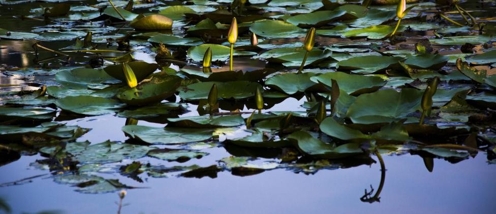 今年暑期，这3部电视剧超火，主角全部来自重庆这所高校！